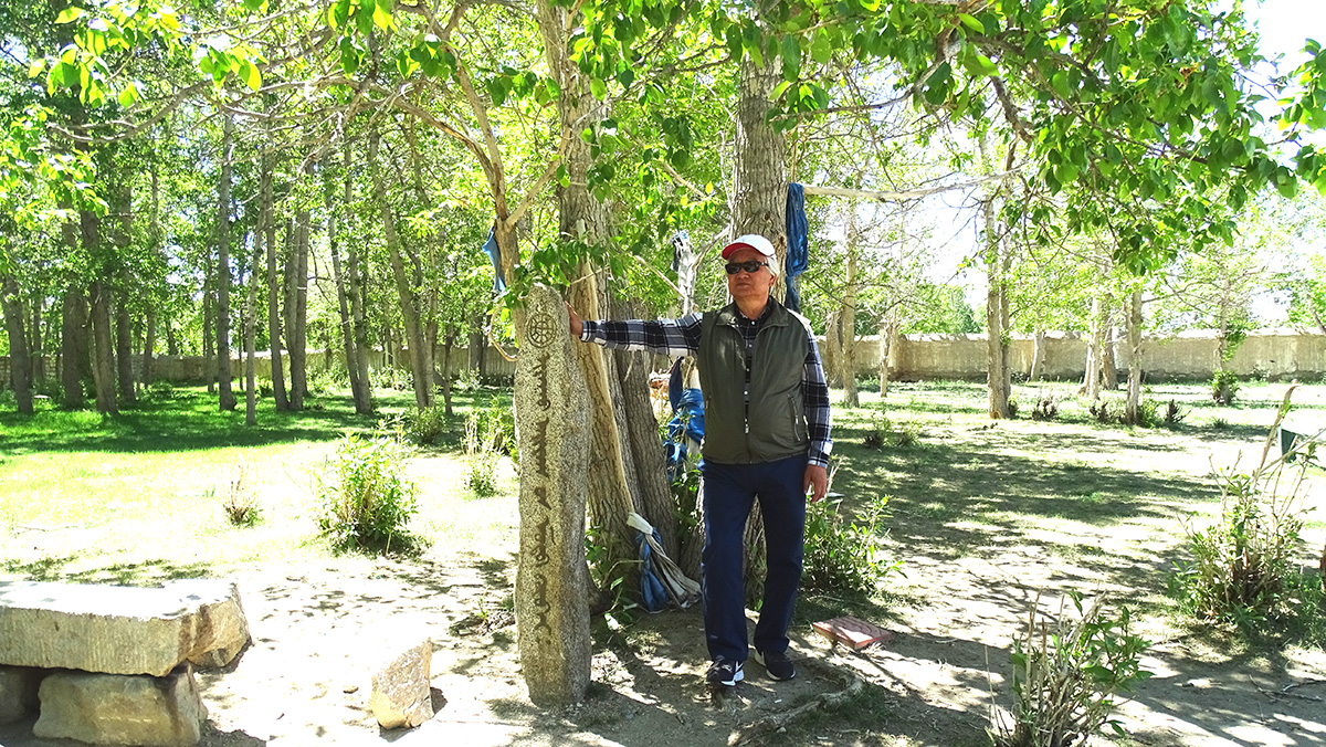 Planted a tree in Khovd city